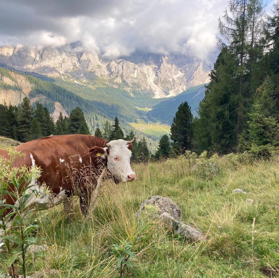 فيرا دي بريميرو Rifugio Caltena المظهر الخارجي الصورة