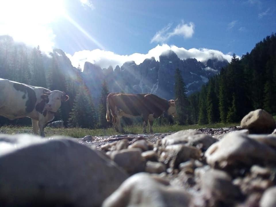 فيرا دي بريميرو Rifugio Caltena المظهر الخارجي الصورة